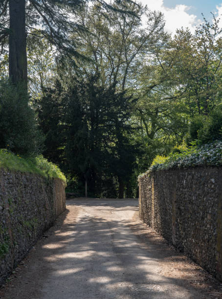 istock Narrow traditional stone wall track leading to forest 963030976