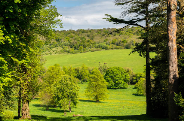 istock View over green farmland between two tall trees 963031146