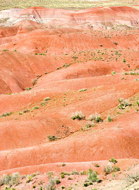 painted desert  chinle formation stock pictures, royalty-free photos & images