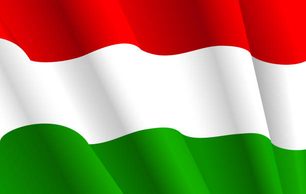 flaga węgier - hungary hungarian culture hungarian flag flag stock illustrations