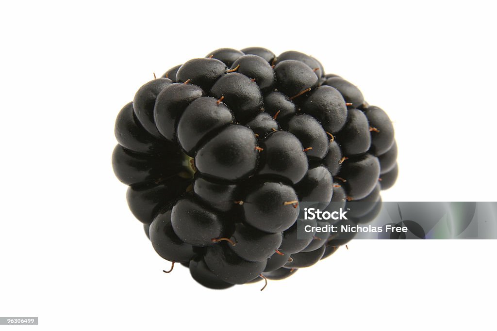 Blackberry - Zbiór zdjęć royalty-free (Jeżyna)