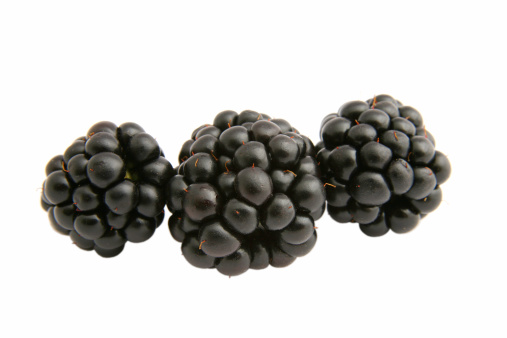 Organic fresh black raspberry in a bowl on white background