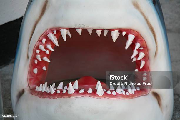 Hai Jaw Stockfoto und mehr Bilder von Hai - Hai, Plastikhai, Tierzahn