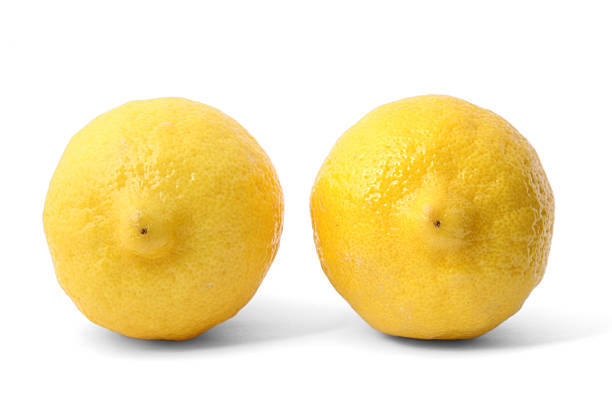 Nice Lemons Two Lemons with grounding shadow on pure white background. Focus on nipples. nipple stock pictures, royalty-free photos & images