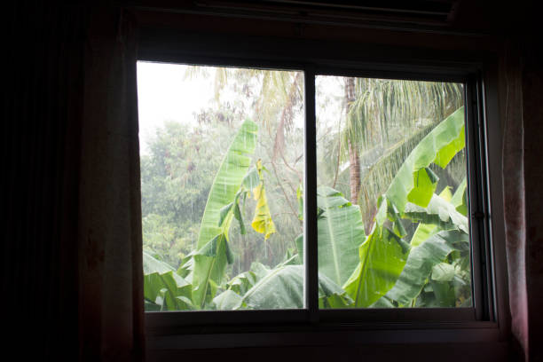 istock Rain storm and raining drop on banana leaf 963084472