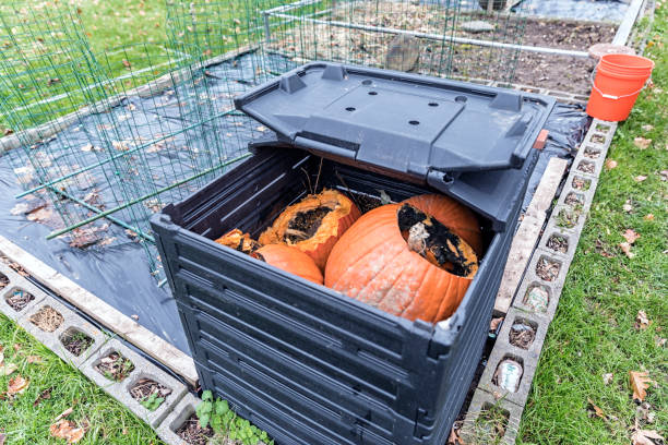 open home compost recycling box z gnijącymi dyniami - garbage food compost unpleasant smell zdjęcia i obrazy z banku zdjęć
