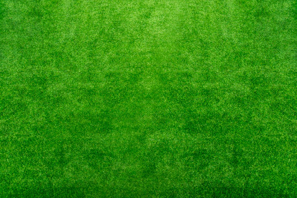 自然背景やゴルフ コースからの美しい緑の芝生のテクスチャを抽象化します。 - lawn ball circle green ストックフォトと画像