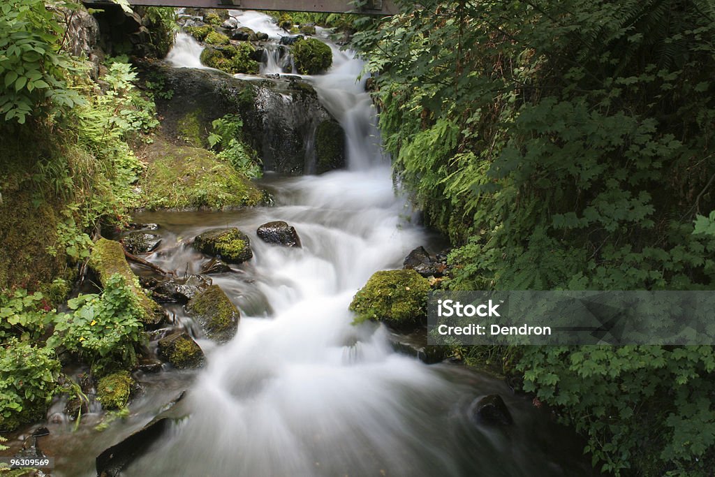 Piękny Wodospad - Zbiór zdjęć royalty-free (Wodospad)