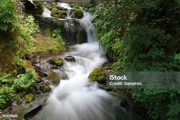 Linda Cascata - Fotografias de stock e mais imagens de Cascata - Cascata, Ao Ar Livre, Atividade Recreativa