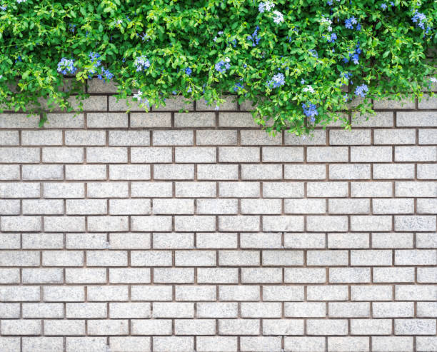 istock Decorative green garden on a brick wall 963097118