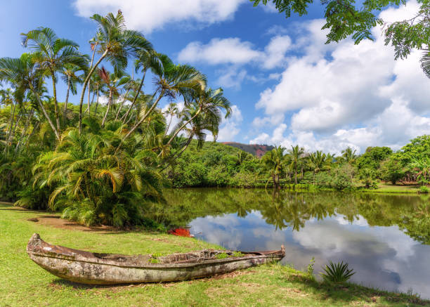 Canoe in Hawaii