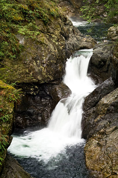 водопад �с двумя односпальными кроватями - twin falls стоковые фото и изображения