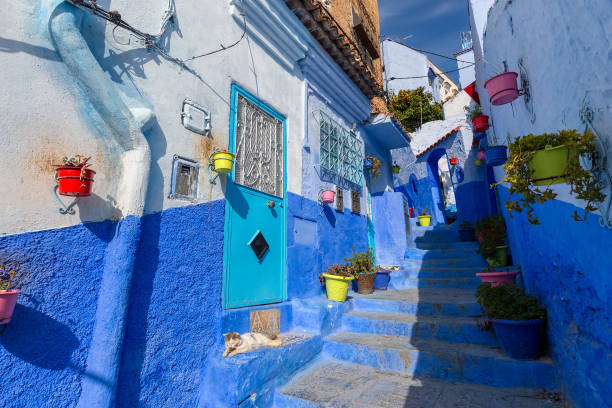 istock Blue street with color pots in Chefchaouen 963104780
