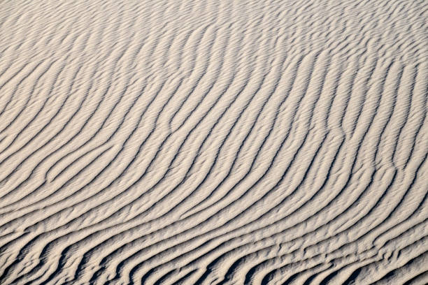 istock Background of sand dunes 963104978