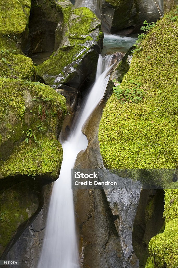 Drabina Creek Falls - Zbiór zdjęć royalty-free (Bez ludzi)