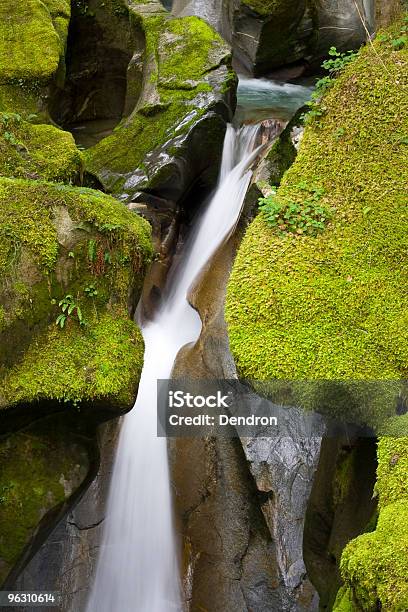 Drabina Creek Falls - zdjęcia stockowe i więcej obrazów Bez ludzi - Bez ludzi, Biały, Brzeg rzeki