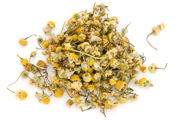 Pile of chamomile on white  chamomile plant stock pictures, royalty-free photos & images