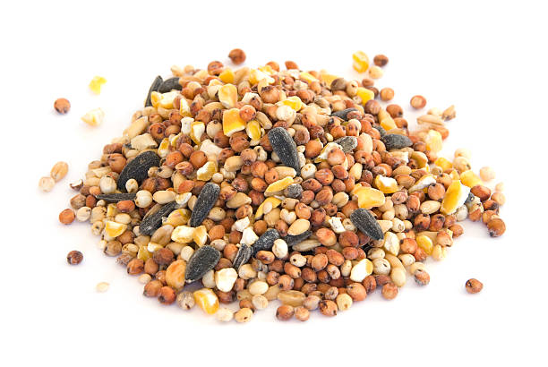 istock Pile of bird seed on white 96310741