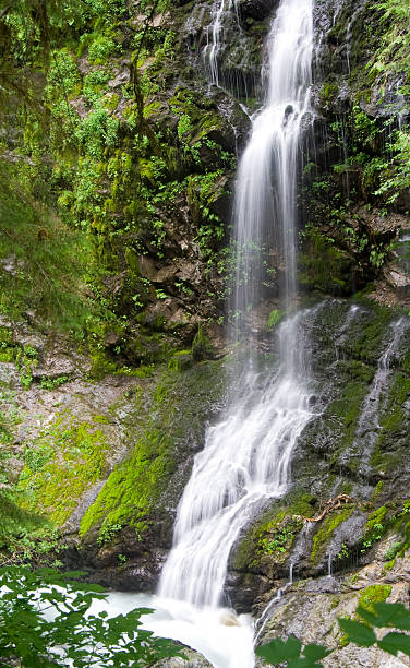 mostra di funzione - north cascades national park cascade range river waterfall foto e immagini stock