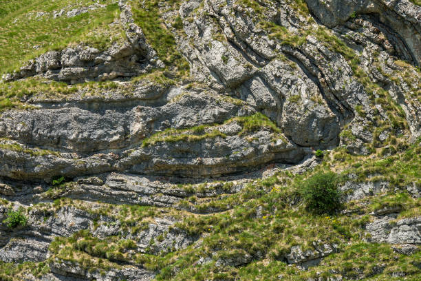 istock folds of rock in mountains - background 963114772