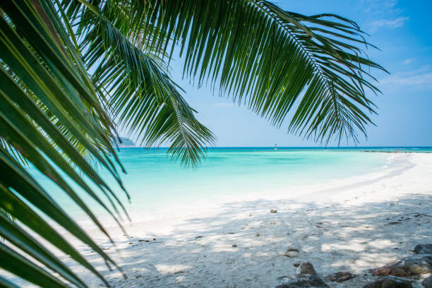 istock Breathtaking view of the empty beach at Ko Phangan. 963122616