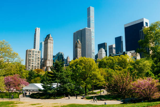 istock Central Park in NYC and Skyline behind the park 963125716