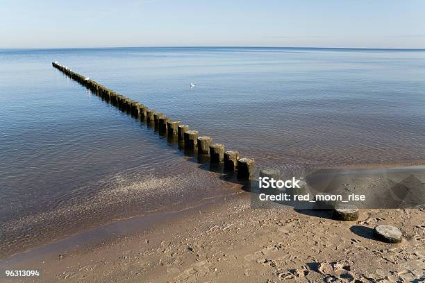 Groyne Stock Photo - Download Image Now - Hiddensee, Winter, Algae