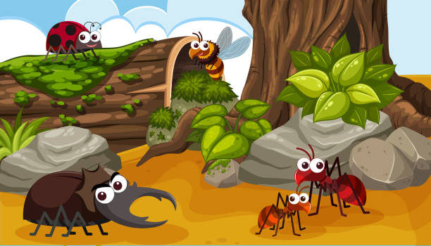 A Group of Happy Insect in Forest A Group of Happy Insect in Forest illustration ant clipart pictures stock illustrations