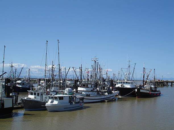 istock Commercial Fishing Fleet 96313378