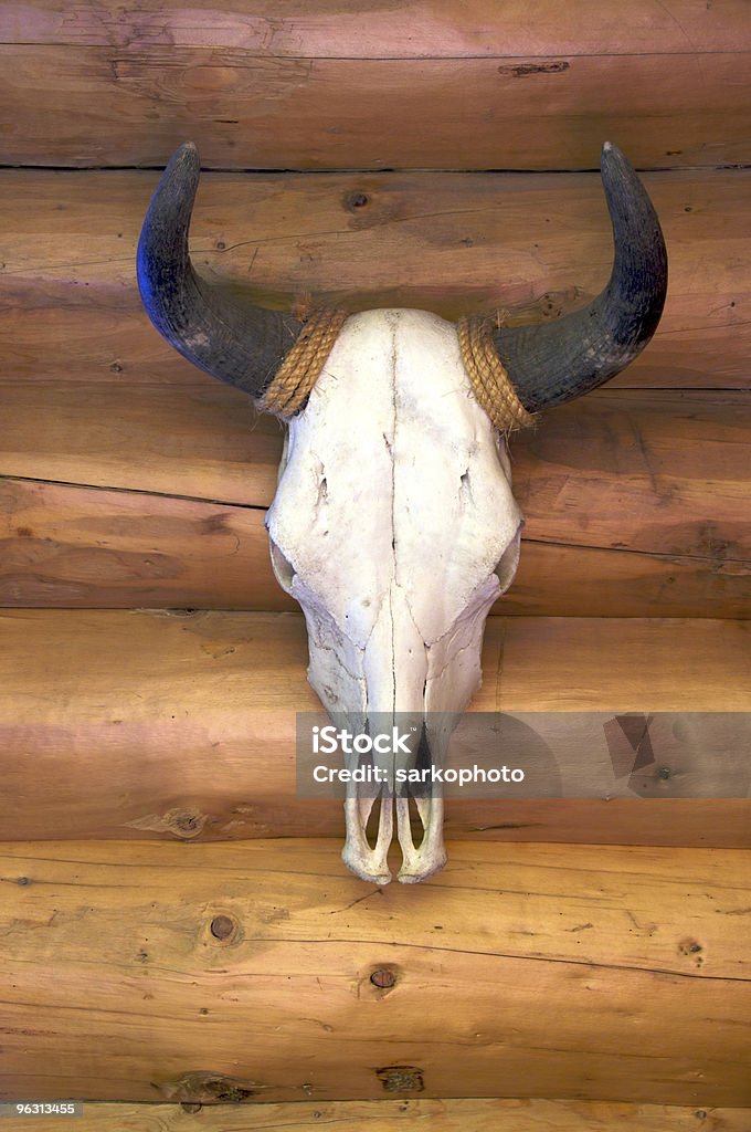 Vaca crânio em fundo de madeira - Foto de stock de Branco royalty-free