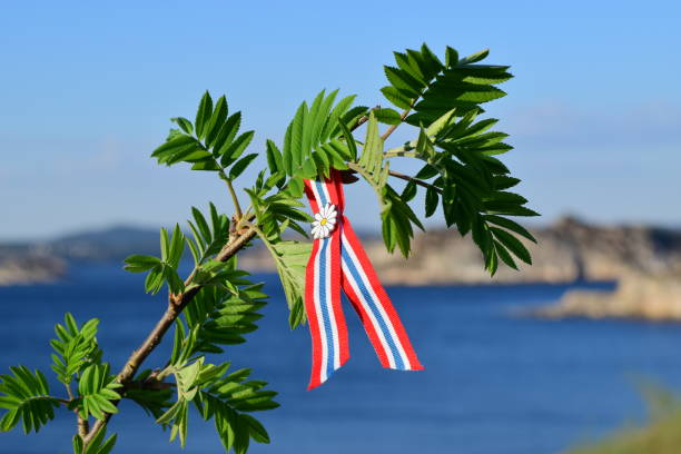 norway's constitution day - norwegian culture imagens e fotografias de stock