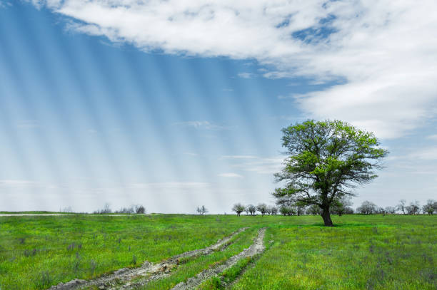 istock Summer landscape with green grass, road and clouds 963138316
