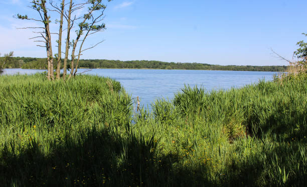 istock Naarden lake (Naardermeer) in the Netherlands 963142538