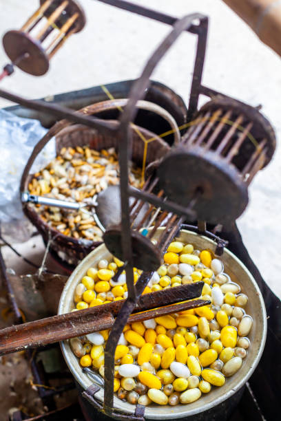 istock Boiling White and Yellow silkworm cocoons in the pot to make Silk Thread, Boil Silk Nest 963147078