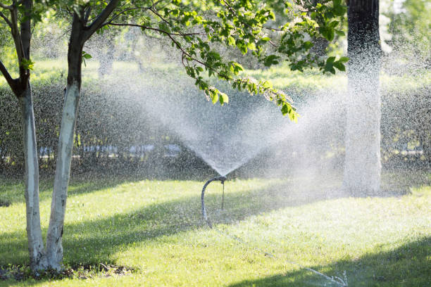 istock Device for watering gardens and parks. 963151724
