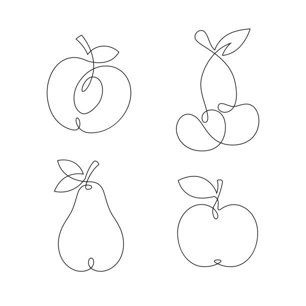 одна линия непрерывной иллюстрации плодоовощ. вектор. - apple fruit vector line art stock illustrations