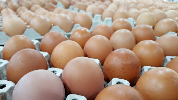 istock Eggs in a carton closeup view background 963164500