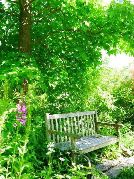 istock Garden chair 963164718