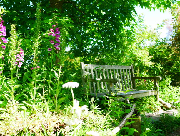 istock Garden chair 963164720