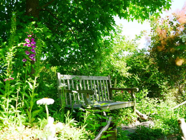 istock Garden chair 963164724