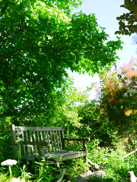 istock Garden chair 963164732