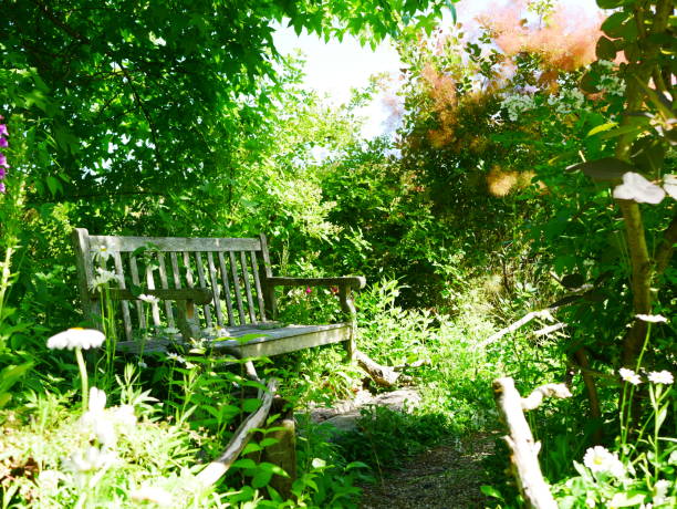 istock Garden chair 963164738