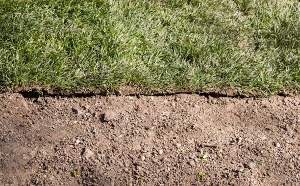 istock Green grass as green background 963165726