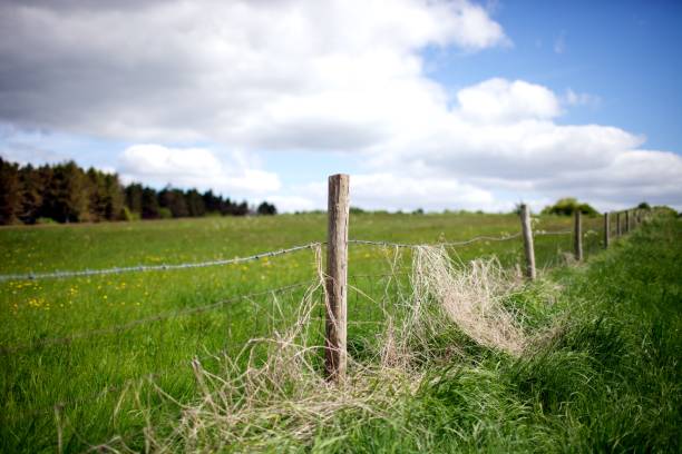 istock Fence of an empty grass farm in rural area 963165952