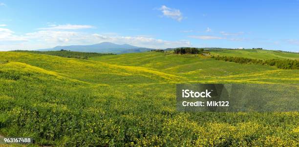 Wzgórza Toskanii Z Kwiatami Na Zielonych Polach - zdjęcia stockowe i więcej obrazów Krajobraz falisty - Krajobraz falisty, Bez ludzi, Europa - Lokalizacja geograficzna