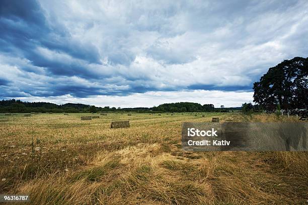 Foto de Stormy Campo De Feno e mais fotos de stock de Agricultura - Agricultura, Azul, Campo