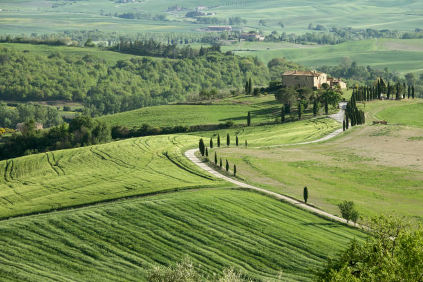 istock Tuscany farmland hill fields in Italy 963176352