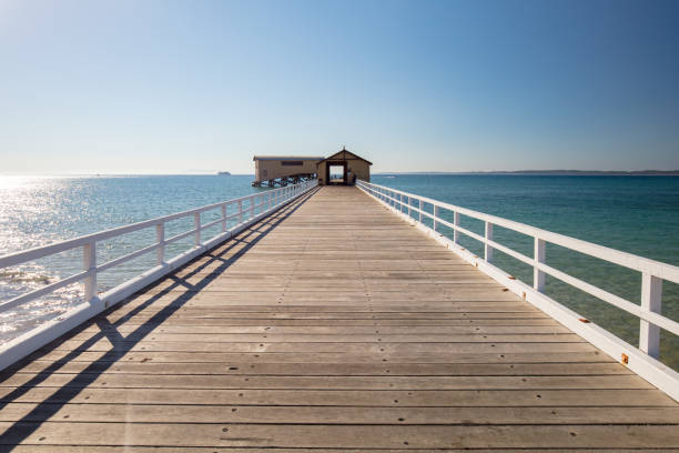 jetée de pier queenscliff - sydney australia australia new south wales lookout tower photos et images de collection