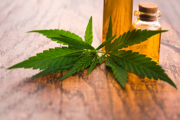 istock marijuana plant and cannabis oil 963186616