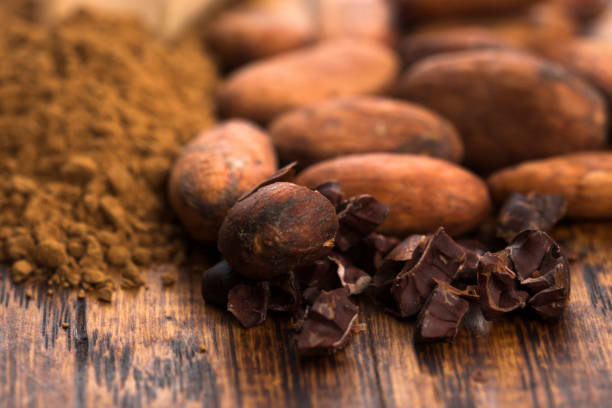 istock cacao beans and cacao powder in spoon 963187760